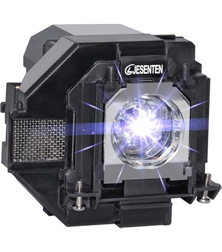 Amazon.com: Decinat V13H010L97 Original Projector Lamp Replacement